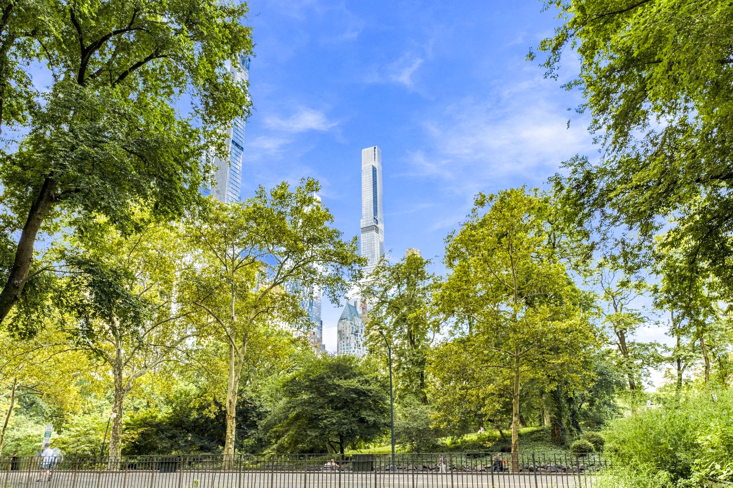 Central Park trees with Midtown supertall towers rising beyond